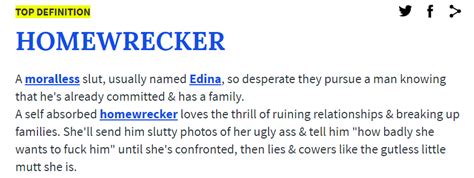 define homewrecker.